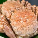 fu.... налог корень . город <12/10 до год внутри рассылка >* шерсть .700g×1 хвост C-66016