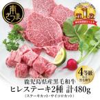 A4等級以上黒毛和牛ヒレステーキ2種480g
