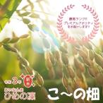 こだわりの低温乾燥米 令和3年 産ひめの凜5kg