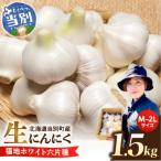 生にんにく 福地ホワイト六片種 1.5kg_tb22-004