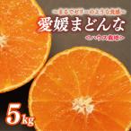 まどんな 5kg