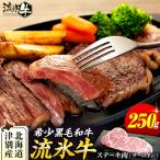 ふるさと納税 津別町 流氷牛ステーキ肉 250g (サーロイン) | 北海道津別町