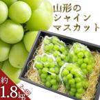 山形のぶどう シャインマスカット 2房 計1kg以上_H065