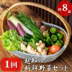 越知産市の季節の野菜セット 年1回発送