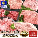 ショッピングふるさと納税 定期便 ふるさと納税 椎葉村 【定期便6回】総重量3.1kg!椎葉プレミアム牛満喫定期便≪ステーキ・すき焼き・焼き肉≫ 牛肉 お肉