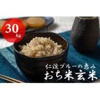 仁淀ブルーの恵み おち米 玄米 30kg