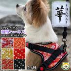 小型犬ハーネス 華 松皮菱 赤
