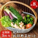 越知産市の季節の野菜セット 年3回発送