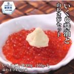 15-261 いくら醤油と山わさびセット