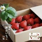 ふるさと納税 徳島市 最高級いちご「勝占いちご」15粒【12〜1月お届け】(老舗料亭も御用達)