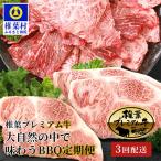 ふるさと納税 椎葉村 【定期便3回】総重量1.8kg!椎葉プレミアム牛 大自然の中で味わうBBQ定期便≪焼き肉・ステーキ≫
