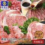 総重量2.4kg 椎葉牛 大自然の中で味わう焼肉