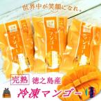~世界中が笑顔になれ~徳之島の完熟冷凍マンゴー 3袋