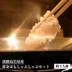 淡路島岩屋産 黄金はもしゃぶセット 約3人前