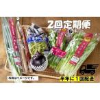ふるさと納税 京都市 <2回 定期便>【JA全農京都】半年に1回配送!季節の京野菜セット