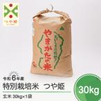 ふるさと納税 大石田町 令和6年産 つや姫 30kg 【2025年8月下旬発送】山形県大石田町産 特別栽培米 玄米