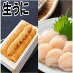 エゾバフンウニ1折 お刺身ホタテ貝柱1P