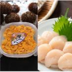 エゾバフンウニ塩水100g×2P お刺身ホタテ500g×2P