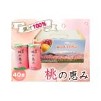 ふるさと納税 桑折町 「福島桃の恵み」40本 果汁100%ジュース / モモジュース ストレート もも 福島