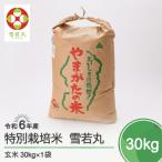 ふるさと納税 大石田町 【2025年5月下旬発送】令和6年産 雪若丸 30kg 山形県大石田町産 玄米 ja-yugxb30