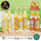 柑橘シロップ 300ml×7本セット