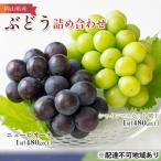 ショッピングふるさと納税 シャインマスカット ふるさと納税 瀬戸内市 ぶどう詰め合わせ ニュー ピオーネ ・ シャイン マスカット晴王 各1房[No.5735-1098]