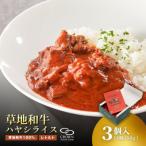 レトルトハヤシ 1人前