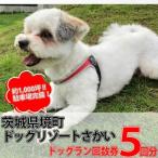 K1913 広々1000坪 ドッグラン 回数券