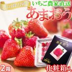 いちご しあわせもん あまおう 化粧箱 2箱