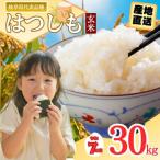 ふるさと納税 関市 令和7年産 ハツシモ米【玄米】30kg 【11月以降順次発送】L6 G30-08