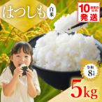 令和8年産 ハツシモ 5kg
