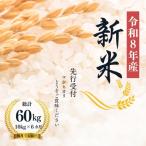 No.1498 大文字屋米穀店 コシヒカリ 10kg