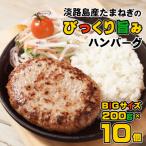 ふるさと納税 淡路市 淡路島たまねぎのびっくり旨みハンバーグ 200g×10個　am09001