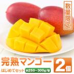 完熟マンゴー はじめてセット A15004