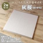 ユニットたたみ半畳サイズ2枚セット H075109