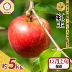 りんご 約5kg