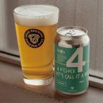 ふるさと納税 愛南町 DD4D クラフトビール 350ml × 6本 セット 愛媛県 愛南町 産 河内晩柑 使用 ipa