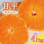 甘平 4kg