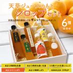 天草ジュースのもと シロップセット_S024-006