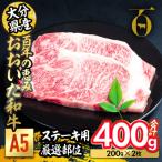 おおいた 豊後牛 サーロイン ステーキ 計400g
