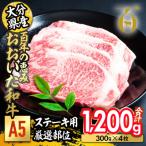 百年の恵み おおいた和牛 A5 ステーキ用