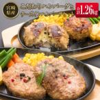ショッピングふるさと納税 ハンバーグ ふるさと納税 宮崎県 ◆宮崎県産こだわりハンバーグとチーズインハンバーグセット(合計1.26kg)