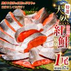 甘塩天然紅鮭 1尾