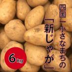 ★先行受付: ★大野台地で採れた令和5年産