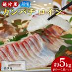 <異次元の鮮度 超冷薫 冷凍カンパチ