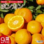 <明浜産 浜のみかん屋直送 ポンカン 9kg