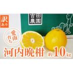 ふるさと納税 愛南町 �