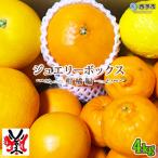 明浜産ジュエリーボックス 柑橘編 4.0kg