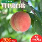 ふるさと納税 福島市 福島の桃　「川中島白桃」約3kg【2026年発送 先行受付】No.1202