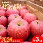No.0673 りんご サンふじ 約3kg